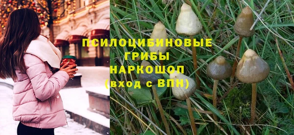стаф Киреевск