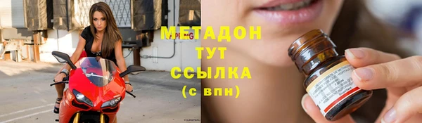индика Осинники