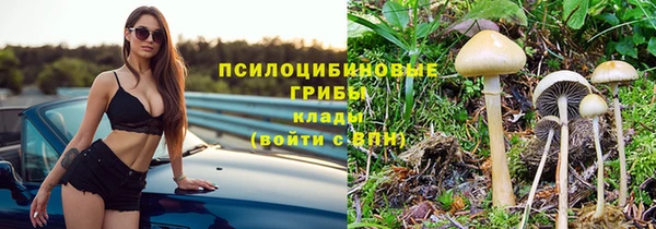 кокс Кинешма