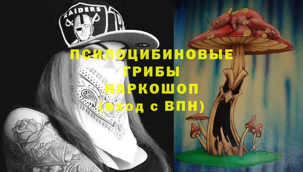 кокс Кинешма
