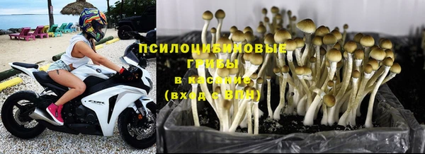 стаф Киреевск