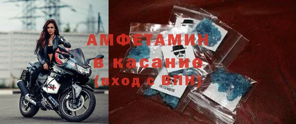 трава Карпинск